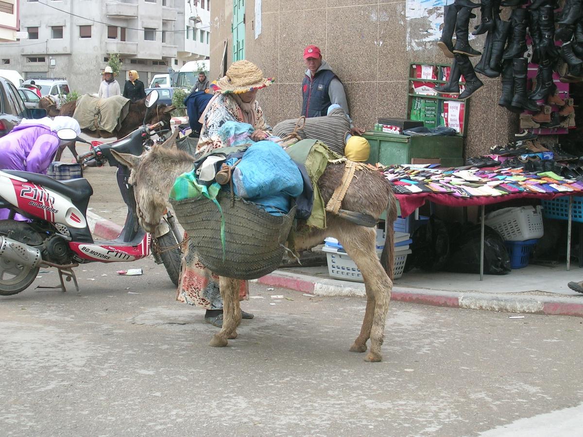 Dar Es Salam-Alta Villa Asilah Dış mekan fotoğraf